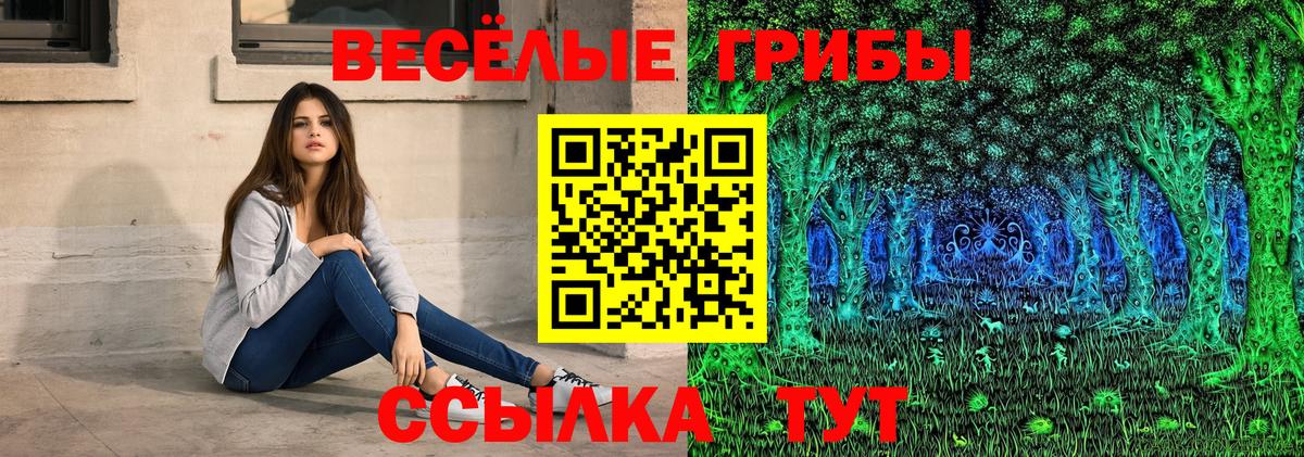 Галлюциногенные грибы Cubensis  Вход с VPN  Псилоцибиновые грибы MAGIC MUSHROOMS  Междуреченск 